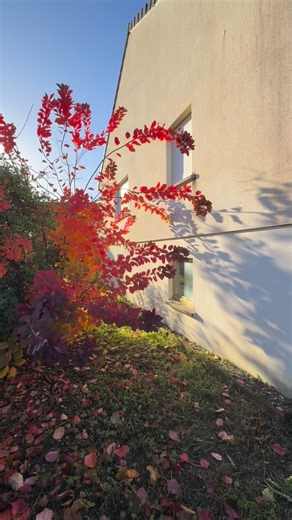 📍SEINGBOUSE • 🏡 Maison individuelle – 160 m² habitables ✨ Belle construction de 1999, très lumineuse ! Au RDC : • Grande entrée • Chambre salle de bains • Salon/séjour 60 m² avec accès terrasse • Cuisine séparée À l’étage : • 3 chambres pièce polyvalente (2ᵉ SDB possible) Atouts : Sous-sol complet, garage, jardin 🌳 Chauffage gaz de ville 🔥 DPE : C / GES : C 💰 263 500€ HAI 📞 Contactez-nous pour une visite ! | Agence Immoflexx