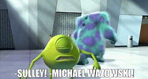 -Sulley! -Michael Wazowski!