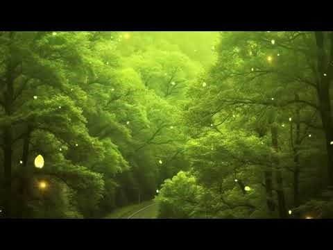 🌿 Música Celta Poderosa 🎵 Mantra de Cura, Limpeza Energética & Bem Estar