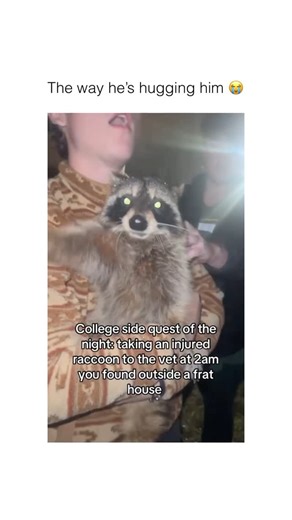 @ANIMAL on Instagram: "That’s his baby now via @maddy_grace_20 Don’t worry, Garrison is in veterinary school. The raccoon is in the care of the animal hospital and all involved are aware of the risk of rabies and infection ❤️"