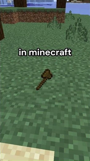 Minecraft Wooden Tools Tip #shorts #minecraft