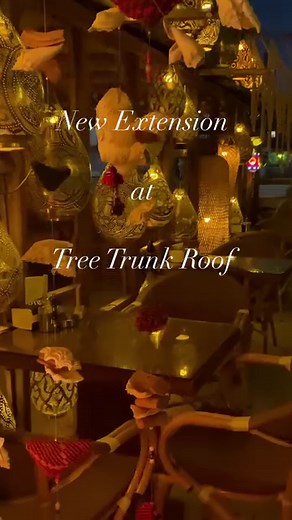 New Extension Area at Tree trunk Roof | Tree Trunk