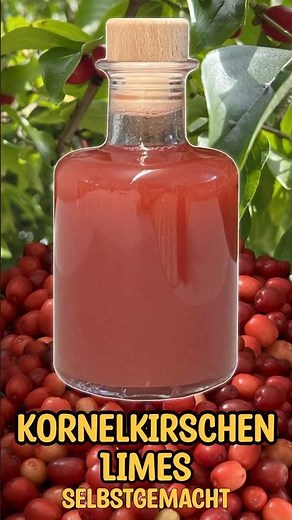 Kornelkirschen Limes leicht gemacht! 🍒😃 Unglaublich lecker!
