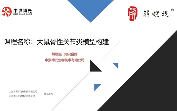 【动物模型系列课程】大鼠骨性关节炎模型构建|通过实操案例，一针见血告诉你，如何做好动物实验。