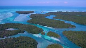 6.1K views · 73 reactions | Looking for ways to have a meaningful and memorable vacation in the Florida Keys? Look no further than our very own website. Visit https://fla-keys.com/sustain/ for an in-depth guide to natural attractions, eco-tours and activities, green lodging and so much more. #ConnectandProtect | The Florida Keys & Key West | Facebook