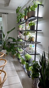 352K views · 2.7K reactions | This routine keeps them hydrated,...