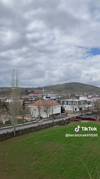 Yeniyeni Başlayan Kuş Yavrusu Oyununa Dair