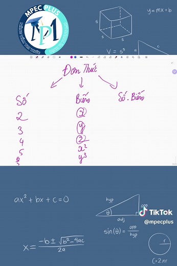 Toán lớp 7: Đơn thức - Kiến thức cuối kỳ 2