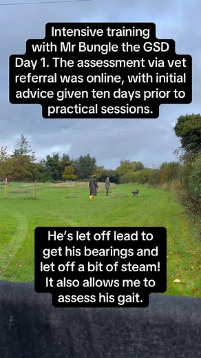 If you want to see how I work with highly reactive working line dogs with a bite history- then here’s a long video of Mr Bungle’s first day of his intensive training (5 sessions across three days). In a nutshell- approximations, layers and lots of rapid fine tuning! Mr Bungle is a rescue and he reacts at people, cars and dogs. Challenge 1 with such dogs is getting them to tolerate me, the person who needs to be present in order to coach. You’ll see how I address this without flooding. Key sessio