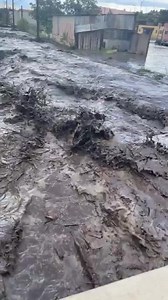 143K views · 5.4K reactions | Miami Arizona | World News Daily | Facebook