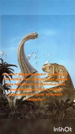crazy facts about argentinosaurus #dino #facts #dinosaur #paleontology