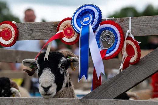19 pictures from the 210th annual Garstang Show as hundreds attend the popular event