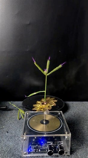 Spinning lightning + plants 🌱