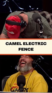 Community service in a camel enclosure results in an altercation with an electric fence and a new nickname! | Not For Radio