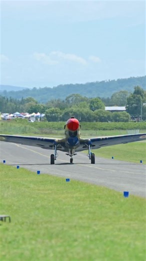 Pay’s P-40 ramp presence 💪. #warbird #p40 #kittyhawk | Pays Aviation