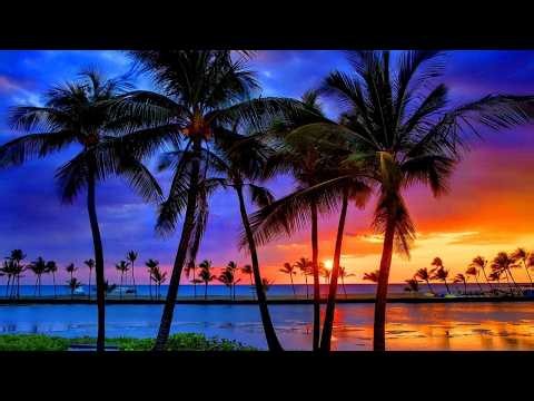 Deep Sleep Music with Ocean Waves | Gentle Hawaiian Ukulele | 8H · No Mid-Roll Ads