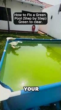 How to Fix a Green Pool. Green Pool Cleanup: Brush, Test, Shock, Filter #poolcare #poolexperts #diy