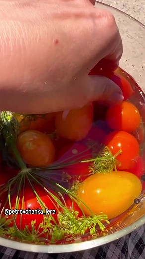 Малосольные помидоры на минералке - Вкусный рецепт