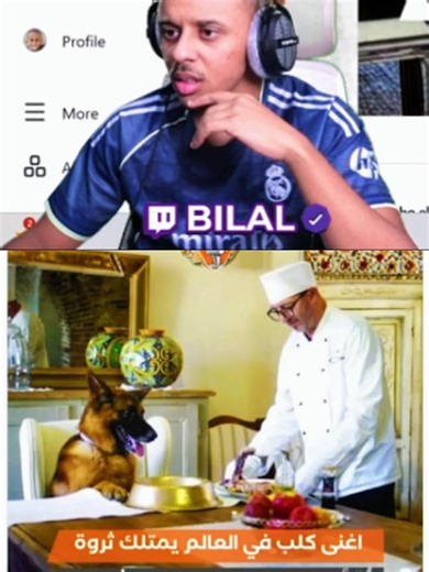 اغنى كلب في العالم و400,000 دولار