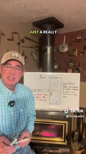 Transforming Cattle Handling with the Bud Box Technique