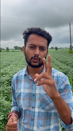 Where to take DAP and how much to take #farming #cropfertilizer #cropnutrients #agriculture #natu...