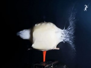 DIY High Speed Photography for $20