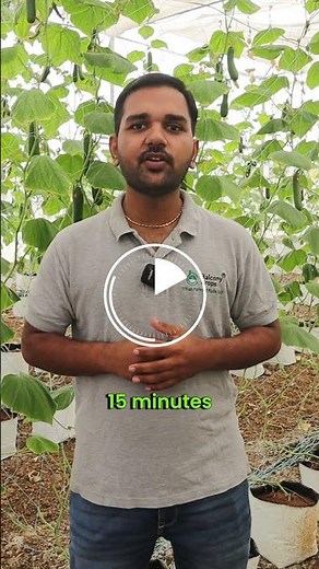 No soil! No mess! Just clean, easy, and efficient gardening | Balcony Crops | Soilless Garden Kit