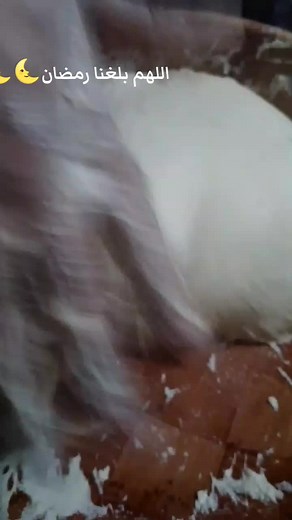 #ديول تقليدي#تحضيرات رمضان #اللهم بلغنا رمضان ديول تقليدي