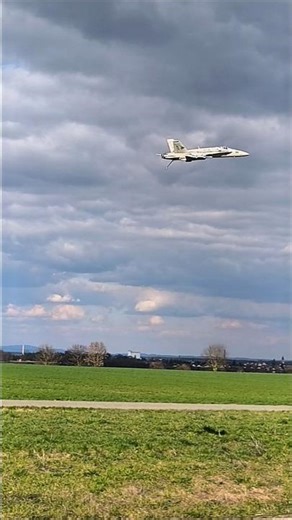 #aeromodelling #aviation #freewing #navy #jet #hornet #f18