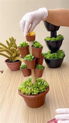 Upcycle Your Old Plastic Pots! ✨ DIY Succulent Decor