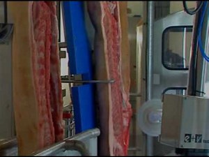 KUKA robot optimizes cutting of pork sides