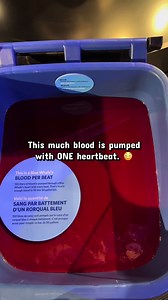 Saint Louis Science Center (@stlsciencecenter)’s video of heart