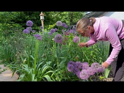 Creating a No-Dig Cut Flower Garden // Northlawn Flower Farm