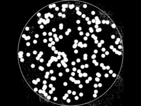 Quant Bot Trading Live it make $100 !!!