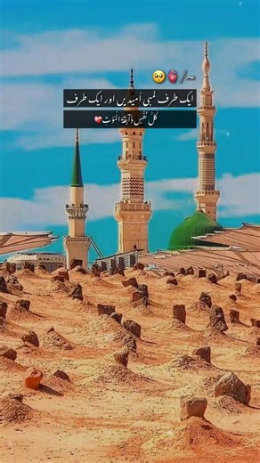 #Beautiful #Words of the #Qur’an | #Heart #Touching #Ayah