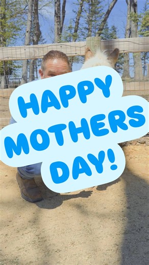 1.2K reactions · 23 comments | Happy Mother’s Day to all the...