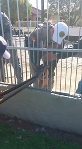 11K views · 258 reactions | Fato inusitado: Um veado apareceu pelas ruas de São Borja e ficou preso em uma grade. Com apoio de policias da Brigada Militar e de populares, conseguiram retirar o bichinho, que ao sair da grade, se mandou rua afora. O fato ocorreu na rua João Jose de Araújo Freitas, na vila Cabeleireira. Vídeo: Ariele Miranda Por sb news | De Hora Em Hora | Facebook