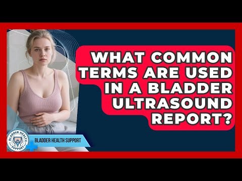 What Common Terms Are Used In A Bladder Ultrasound Report? - Bladder Health Support