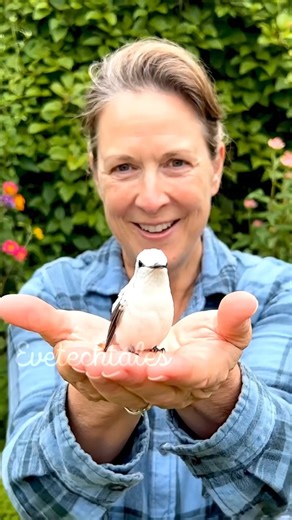 3.6K views · 237 reactions | Did you know? Before their first flight,...