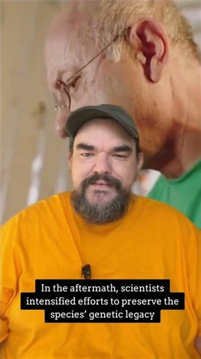 Today in History: Last Male White RhinoDies in Kenya