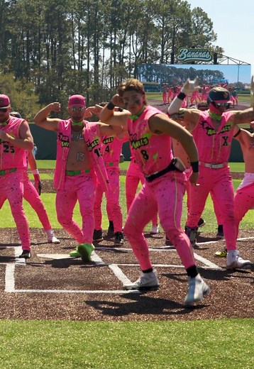 Party Animals Game: Letting Dogs Breathe for Fun