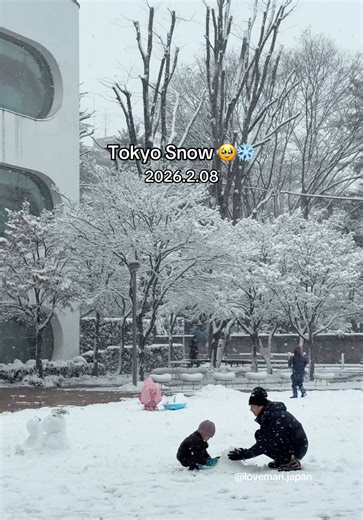 Snow falling in Tokyo has to be one of the prettiest sights 🥹❄️ #japantrip