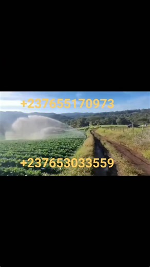 4.9K views · 26 reactions |   ARROSAGE MODERNE ET INTELLIGENT...