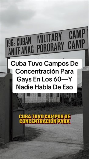 Cuba Tuvo Campos De Concentración Para Gays En Los 60—Y Nadie Habla De Eso UMAP Cuba, Campos Concentración Cuba, Represión LGBTQ Cuba, Castro Homofobia, Historia Oculta Cuba, Revolución Cubana, Derechos Humanos #UMAPCuba #HistoriaOculta #RevoluciónCubana #DerechosHumanos #CubaUnfiltered