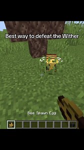 439K views · 2.9K reactions | Best way to defeat the wither in Minecraft #gaming #minecraft | Minecraft Daily Videos | Facebook