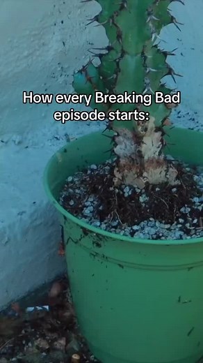 Breaking Bad intros are like.... #BetterCallSaul #BreakingBad #walterwhite #heisenberg #jessepinkman