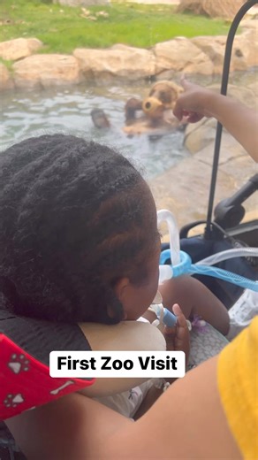 #firsttriptothezoo #wildanimalslover Riverbanks Zoo and Garden #inclusion #inclusionmatters #livelifetothefullest #rarediseaseawareness #thrivingwithtk2d #mitochondrialdisease | Jeremiah Gracen TK2D Warrior