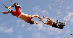 Do you work in a high-trust or low-trust organization?