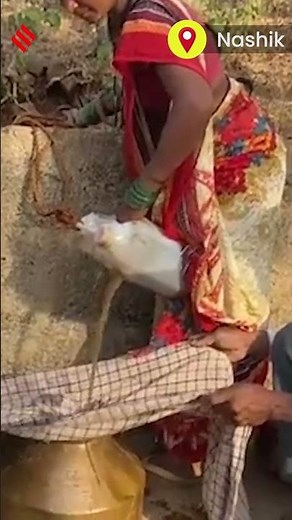 People Forced To Climb Into Well To Fetch Water In Nashik