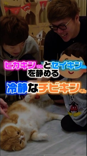 大人2人を静めるチビキンくんw #shorts #HIKAKIN #SEIKIN #チビキン